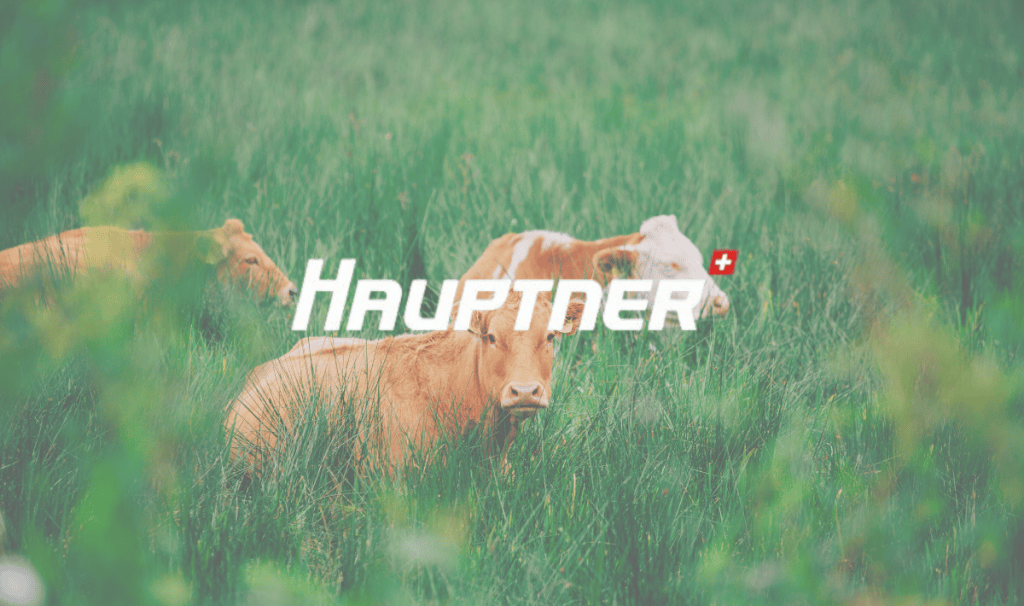 Hauptner logo overlaid on cows in a green field.
